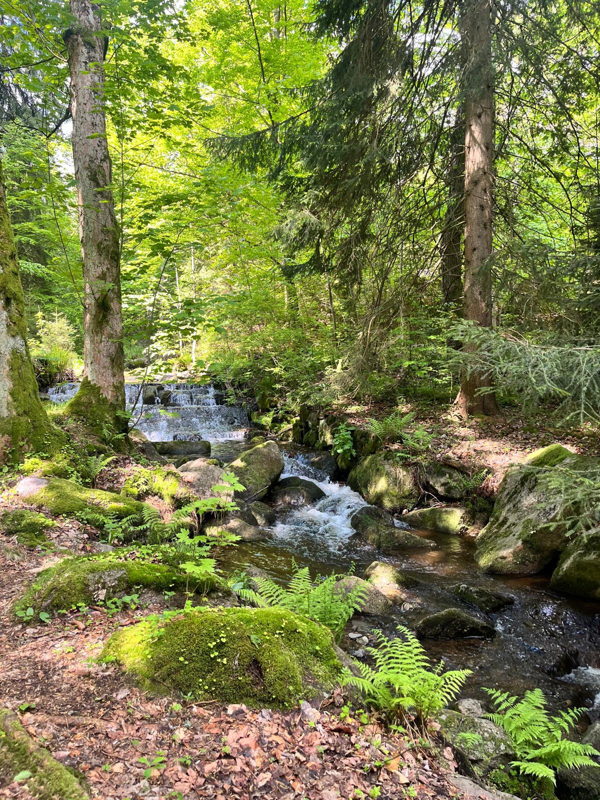 Szkolne Szlaki | UlaTravel