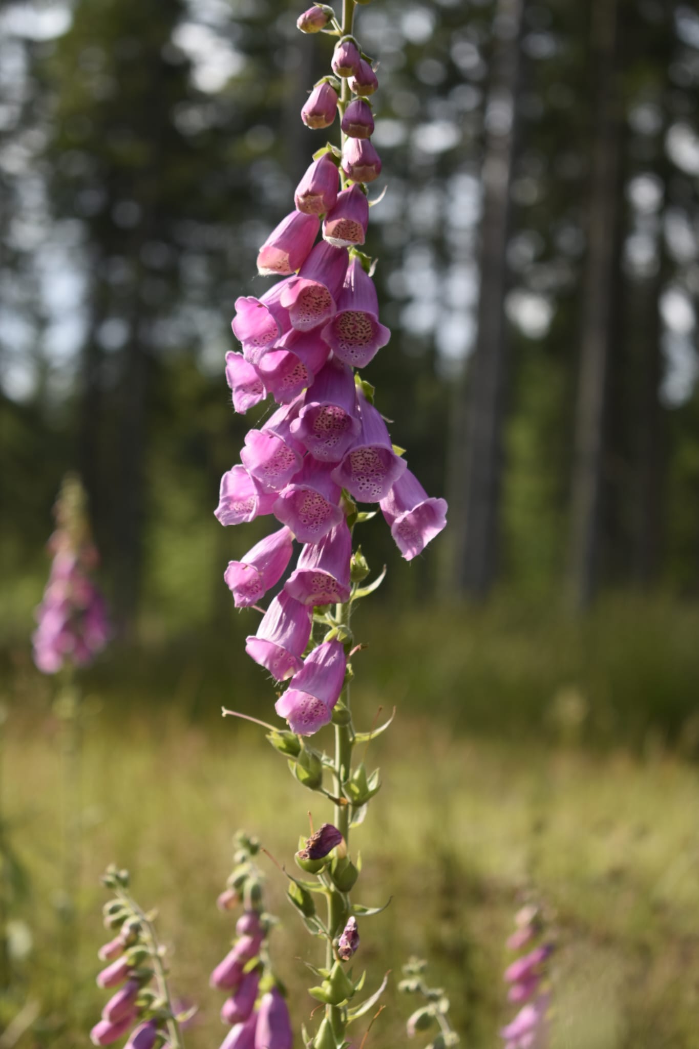 Szkolne Szlaki | UlaTravel