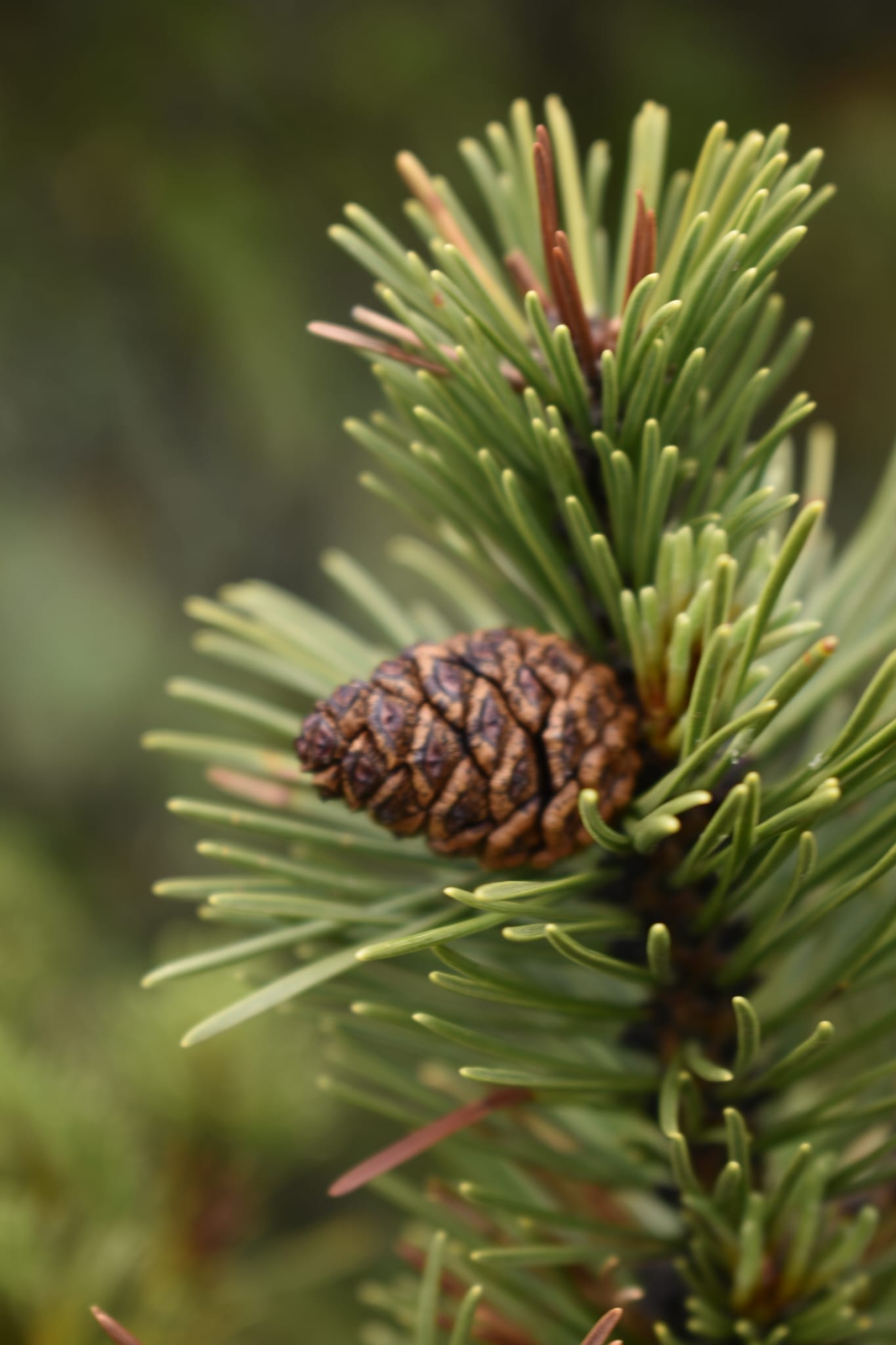 Szkolne Szlaki | UlaTravel