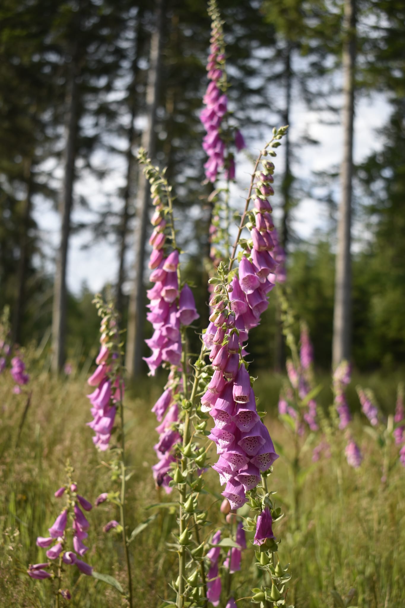 Szkolne Szlaki | UlaTravel